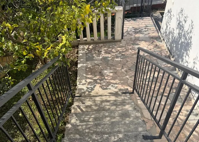 Tanja * 特罗吉尔